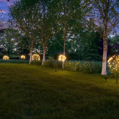 Solar Dandelion Light