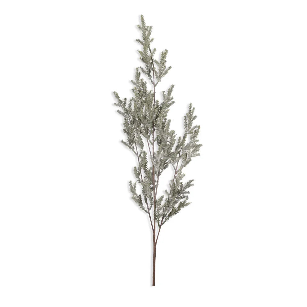 Frosted Pine Branch