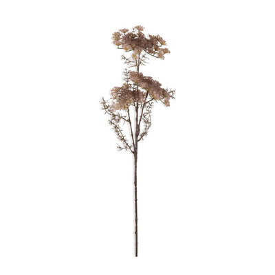 Queen Anne's Lace - blush