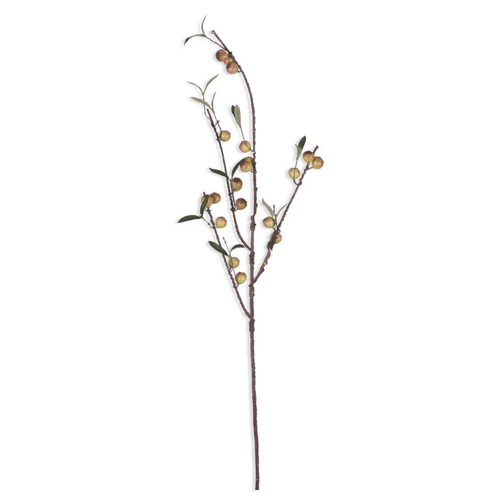 Dappled Rosehip Stem