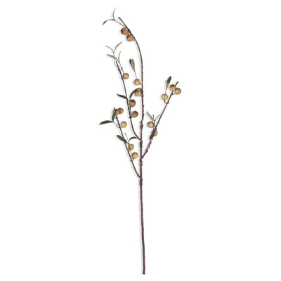 Dappled Rosehip Stem