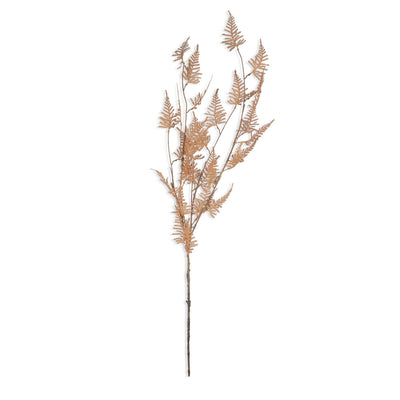 Woodland Fern