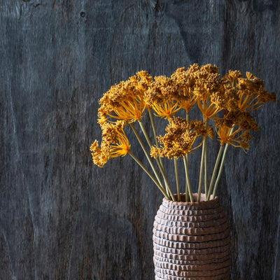 Yarrow Bunch - sand