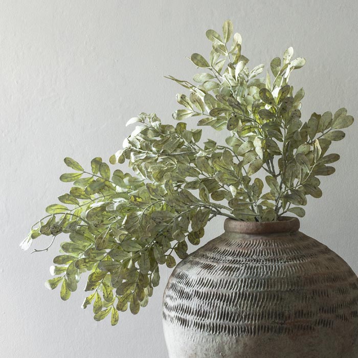 Eucalyptus Bunch