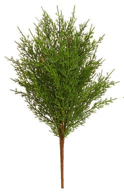 Cedar Bunch