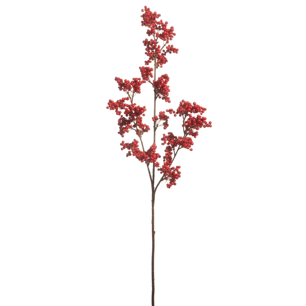 Red Berry Branch