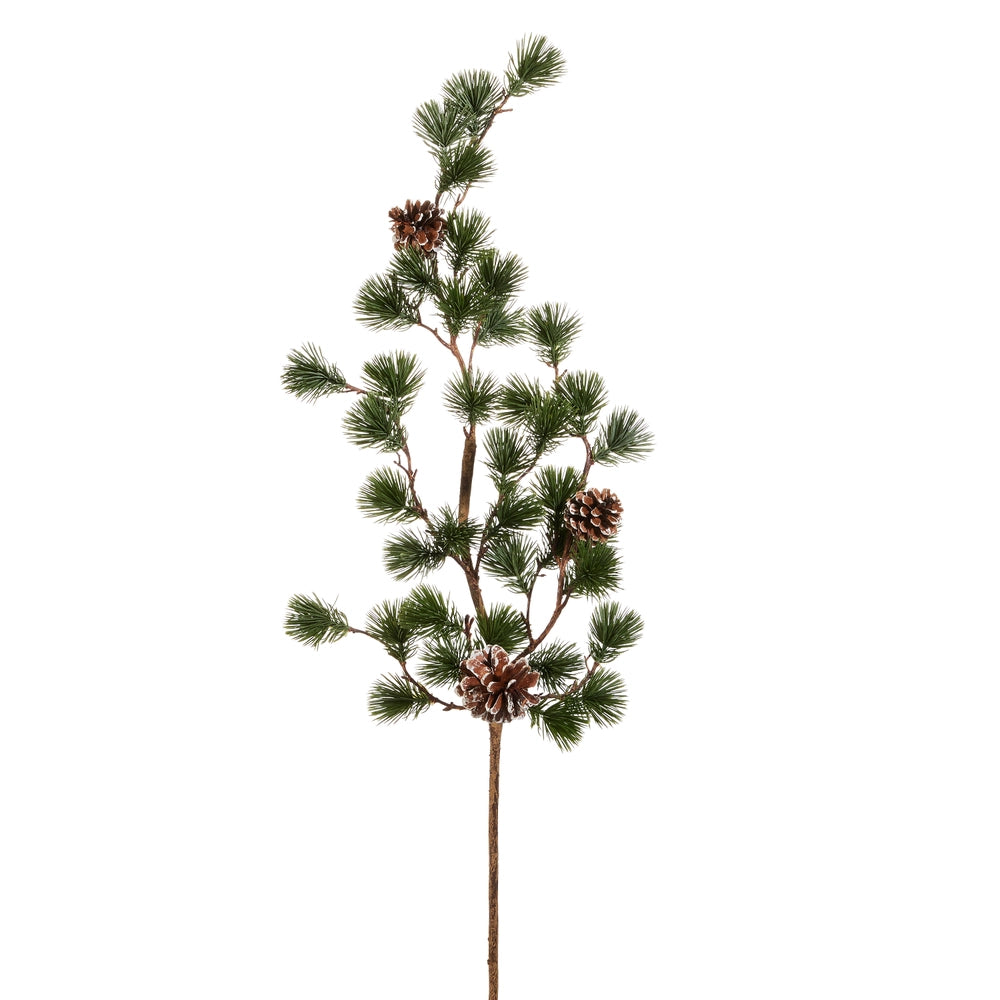 Ming Pine Branch