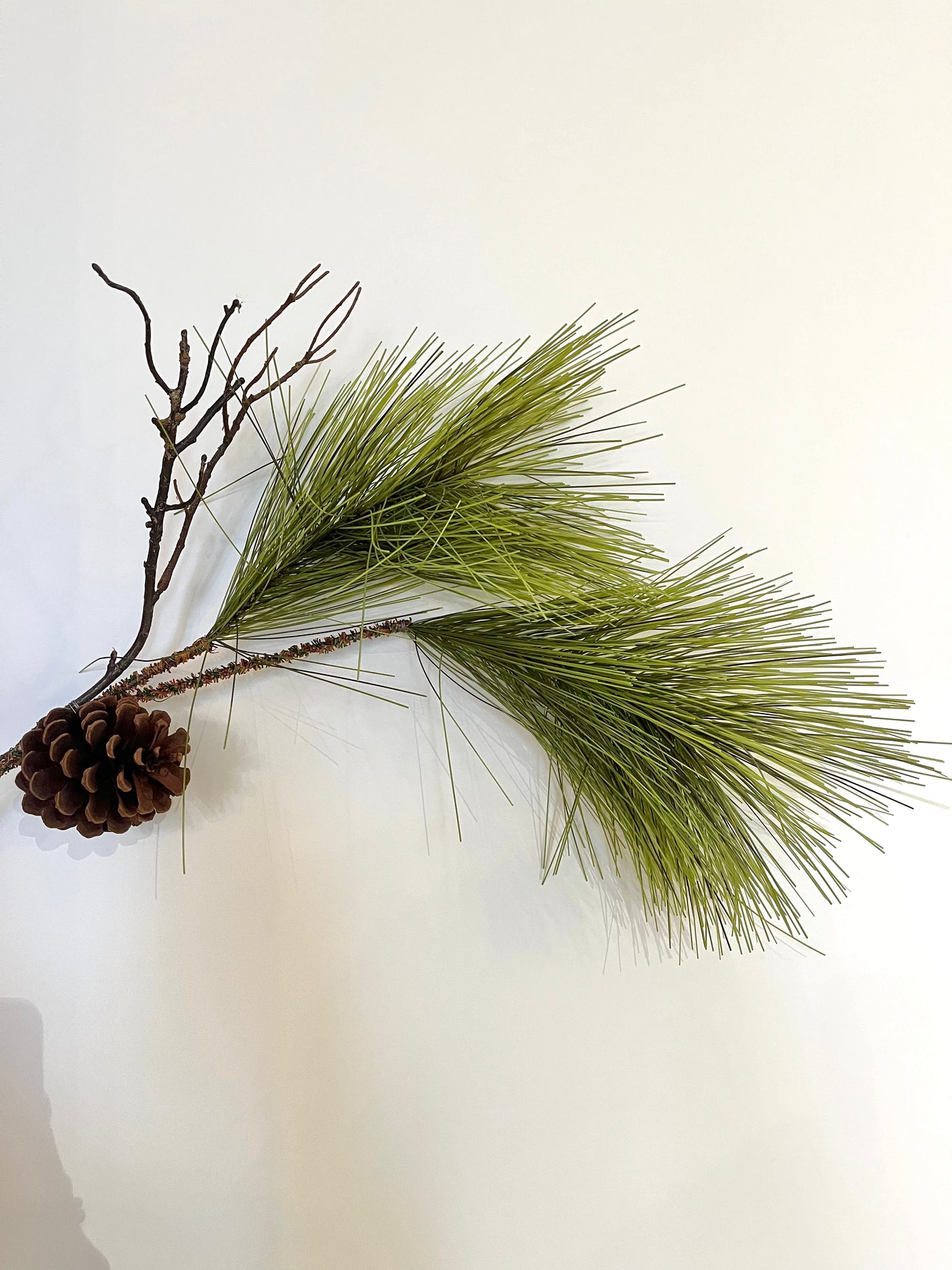 Long Leaf Pine Stem