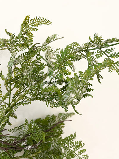 Frosted Fern Branch