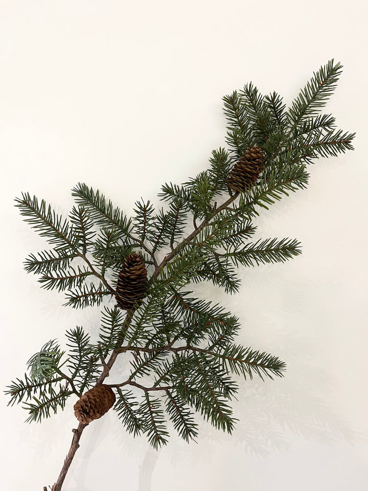 XL Mountain Pine Branch