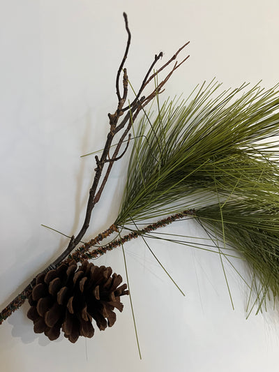 Long Leaf Pine Stem