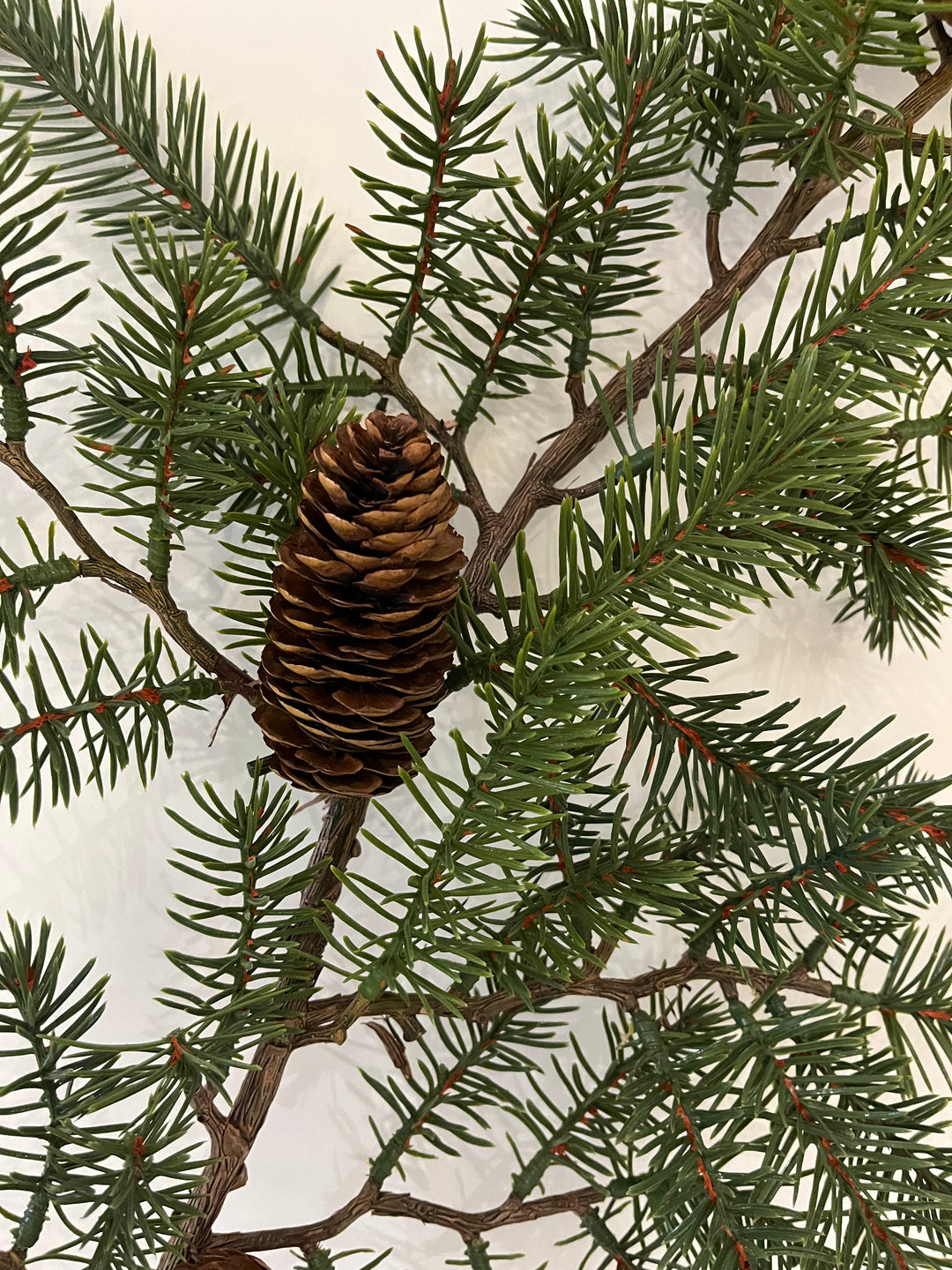 XL Mountain Pine Branch