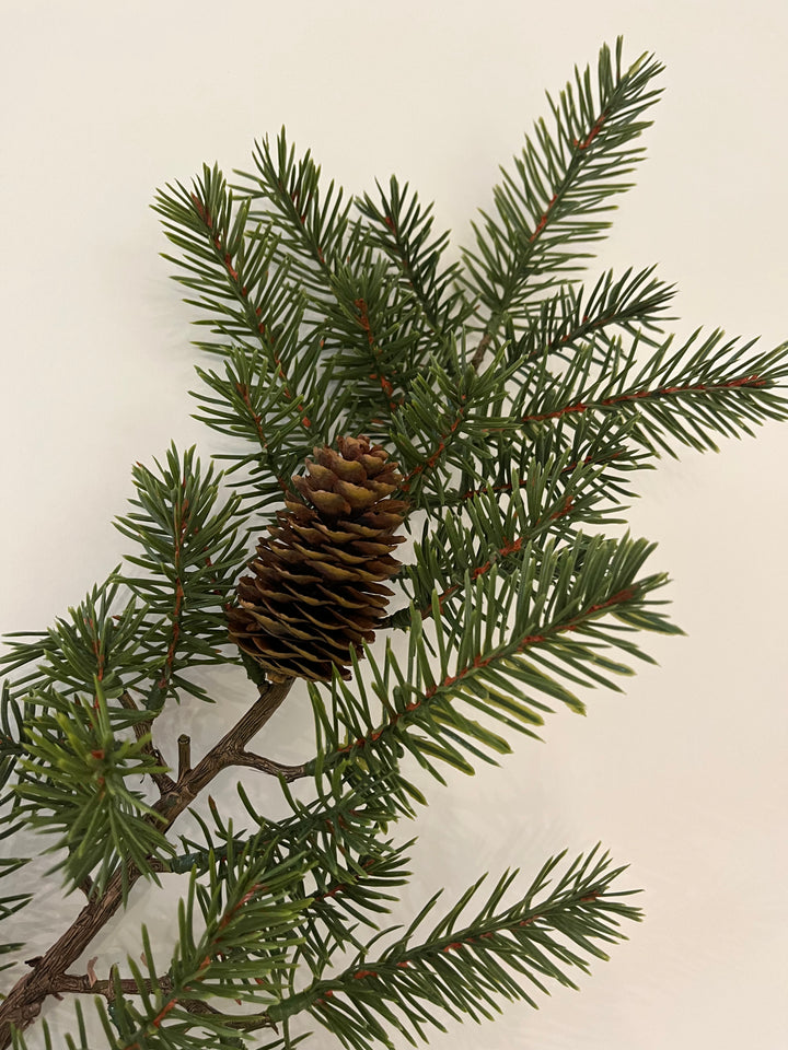 XL Mountain Pine Branch