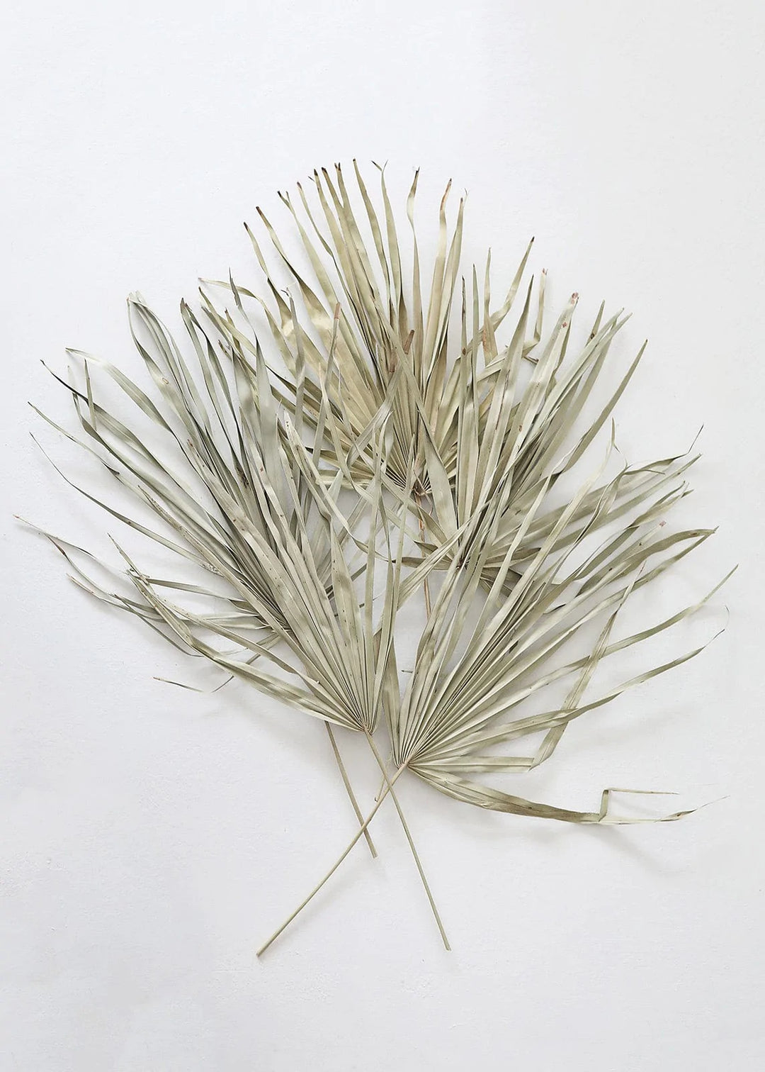Sun Fan Spear
