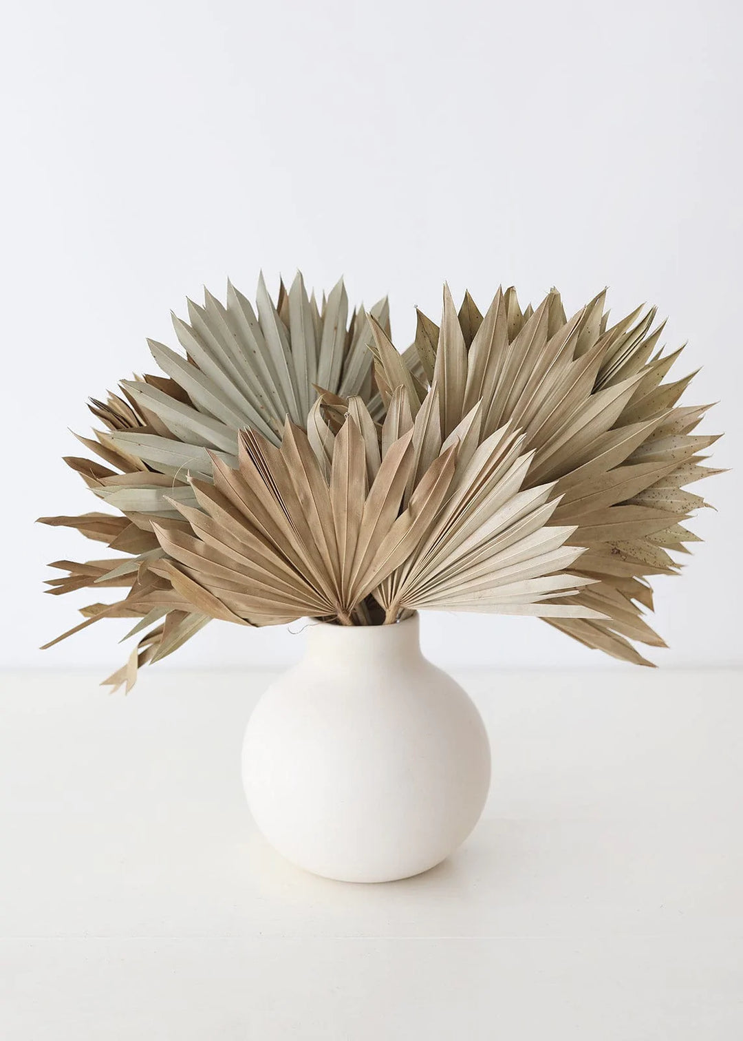 Palm Sun