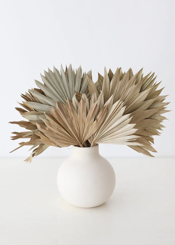 Palm Sun