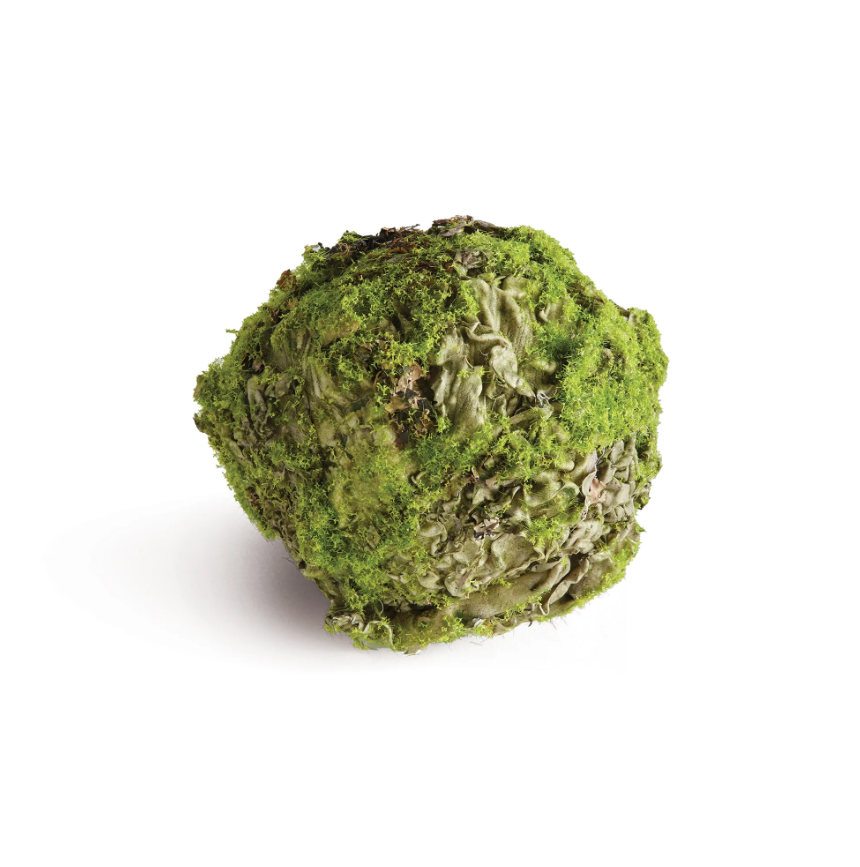 Mossy Lichen Orb - 2 sizes