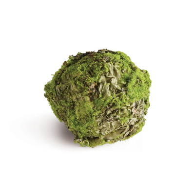 Mossy Lichen Orb - 2 sizes