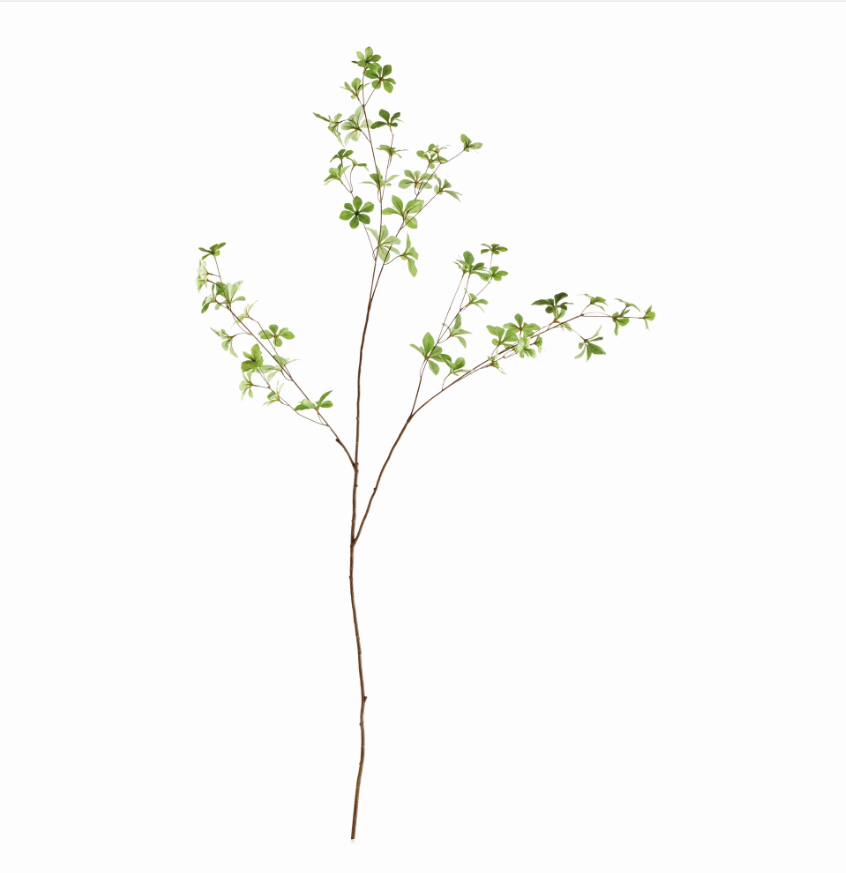Japanese Dodan Branch 50"