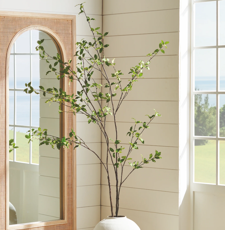 Pittosporum Branch 78"