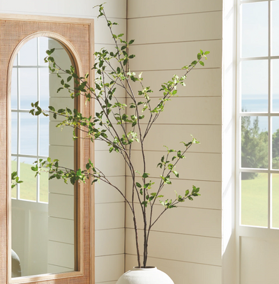 Pittosporum Branch 78"