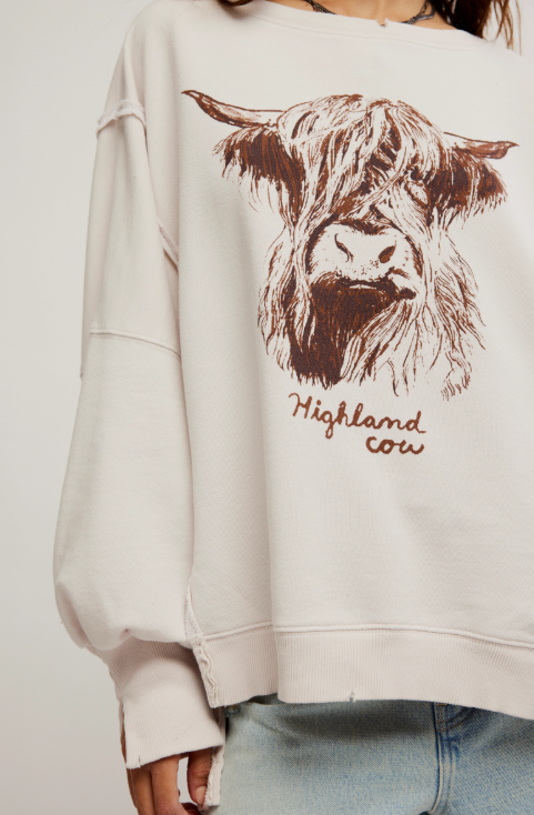 Graphic Camden - highland cow