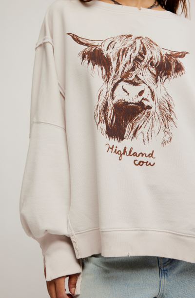 Graphic Camden - highland cow
