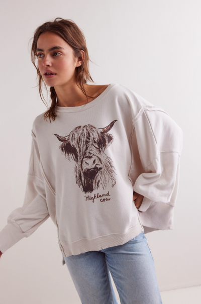 Graphic Camden - highland cow