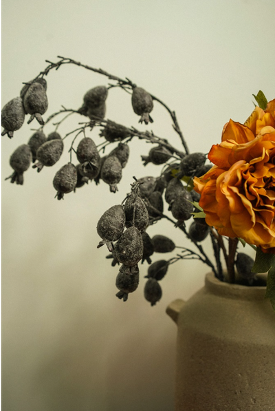 Dried Berry Branch