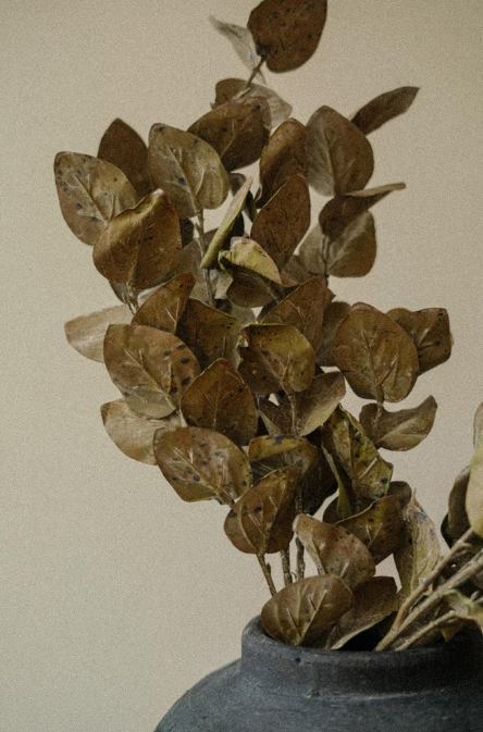 Autumn Leaves Branch - brown