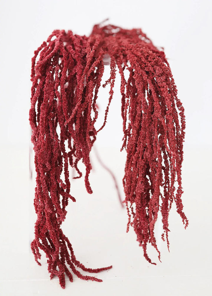 Natural Preserved Amaranthus