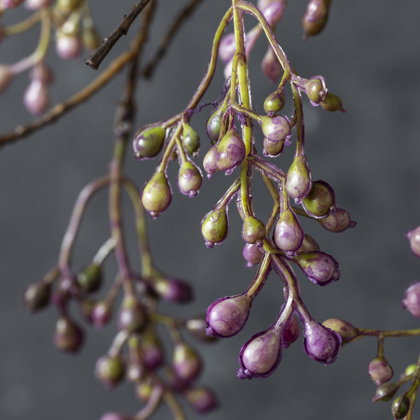 Berry Branch - lilac