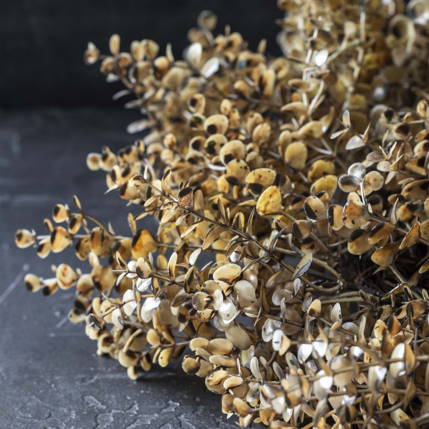Desert Sand Eucalyptus Wreath