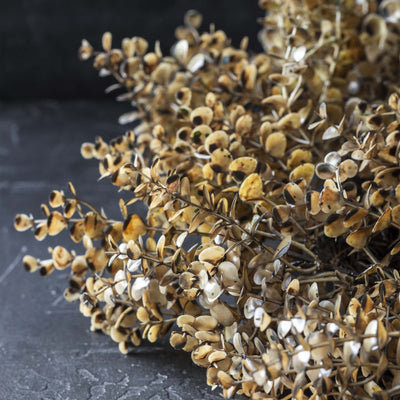 Desert Sand Eucalyptus Wreath