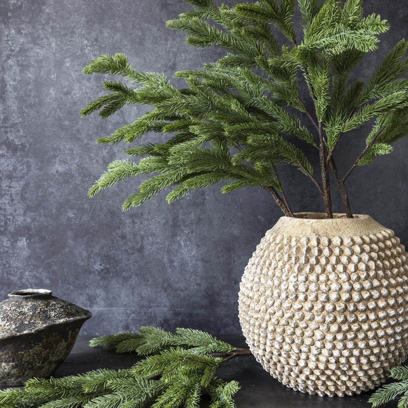 Foxtail Pine