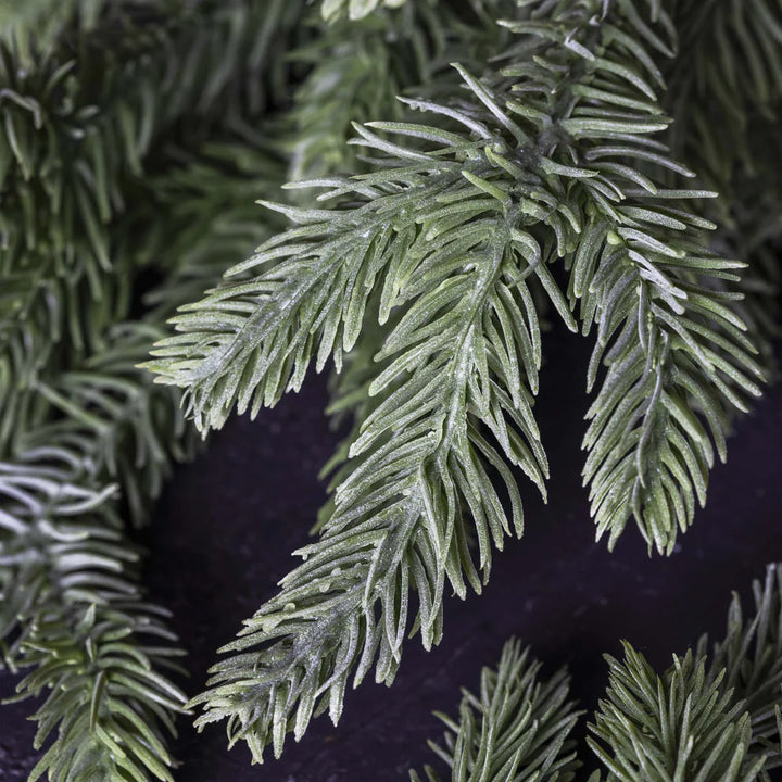Frosted Pine Branch