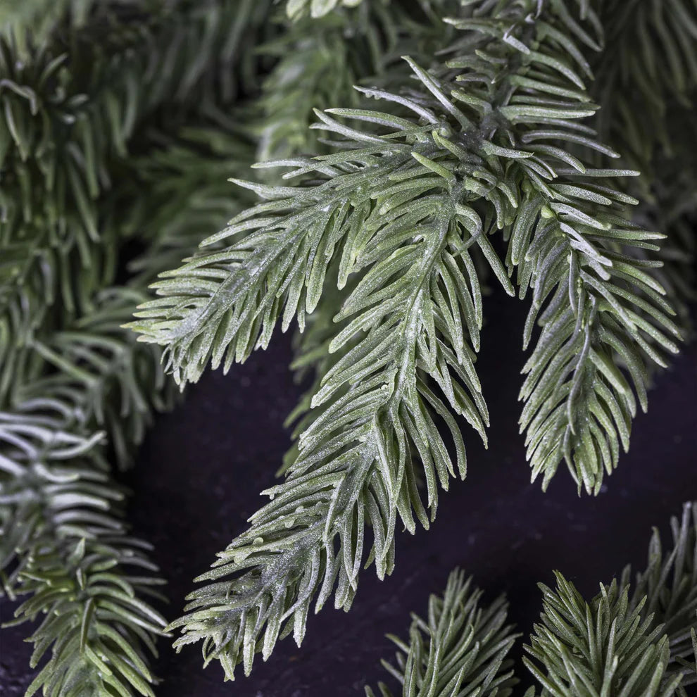 Frosted Pine Branch