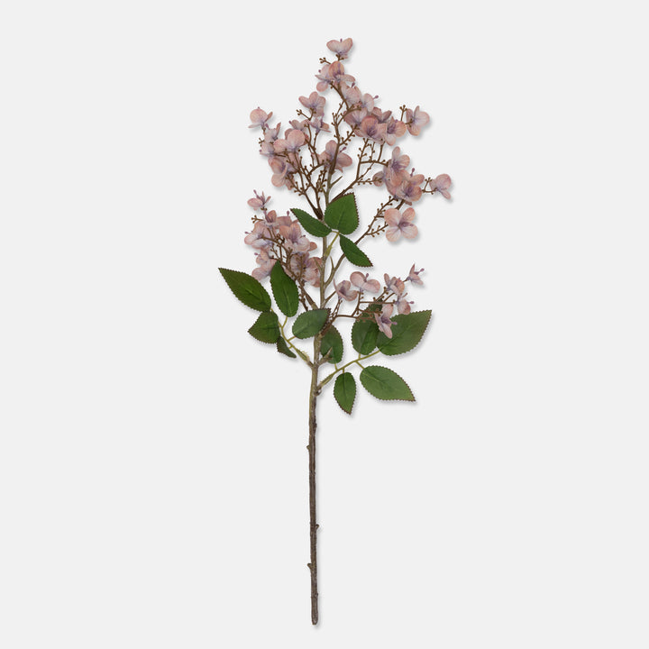Japanese Cherry - blush