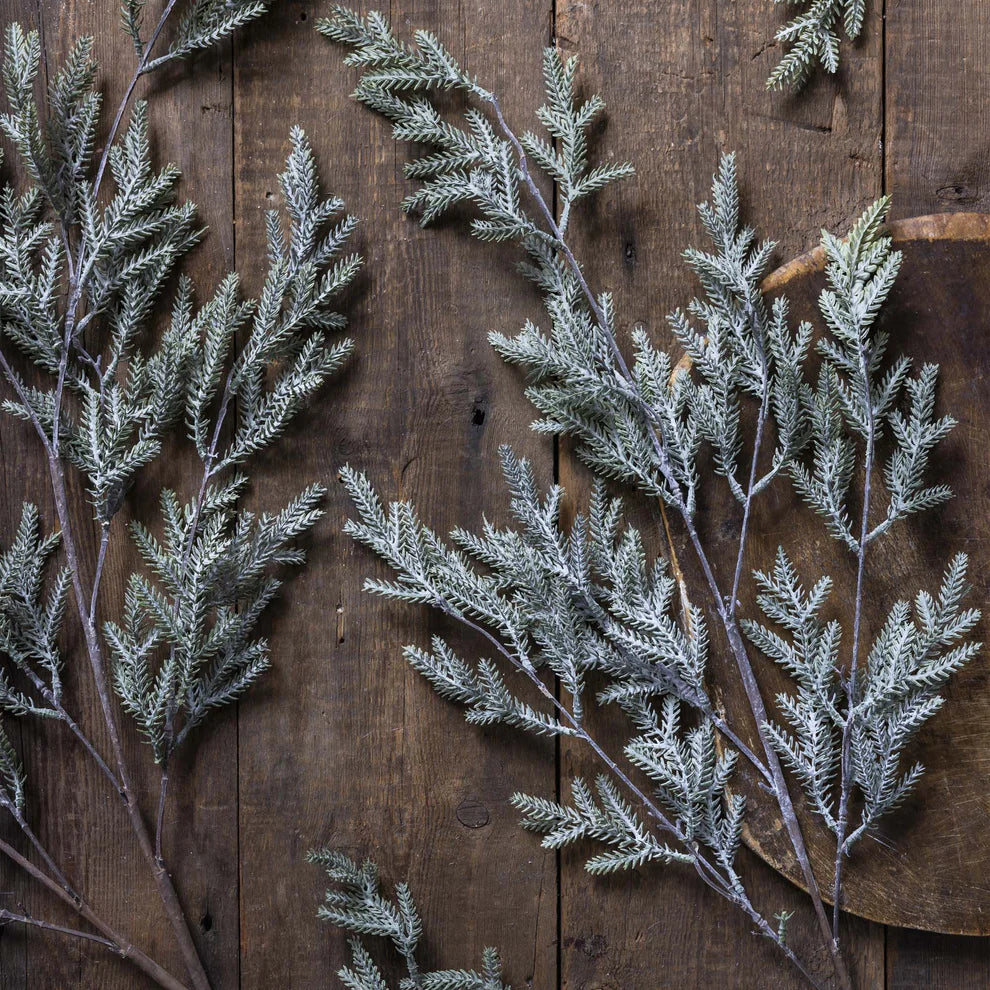 Frosted Pine Branch