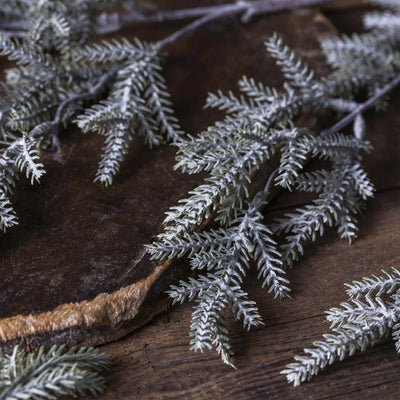 Frosted Pine Branch