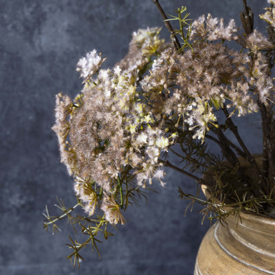 Queen Anne's Lace - blush