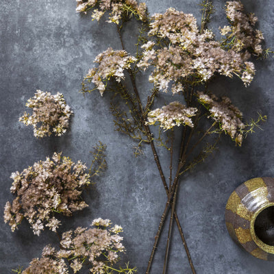 Queen Anne's Lace - blush