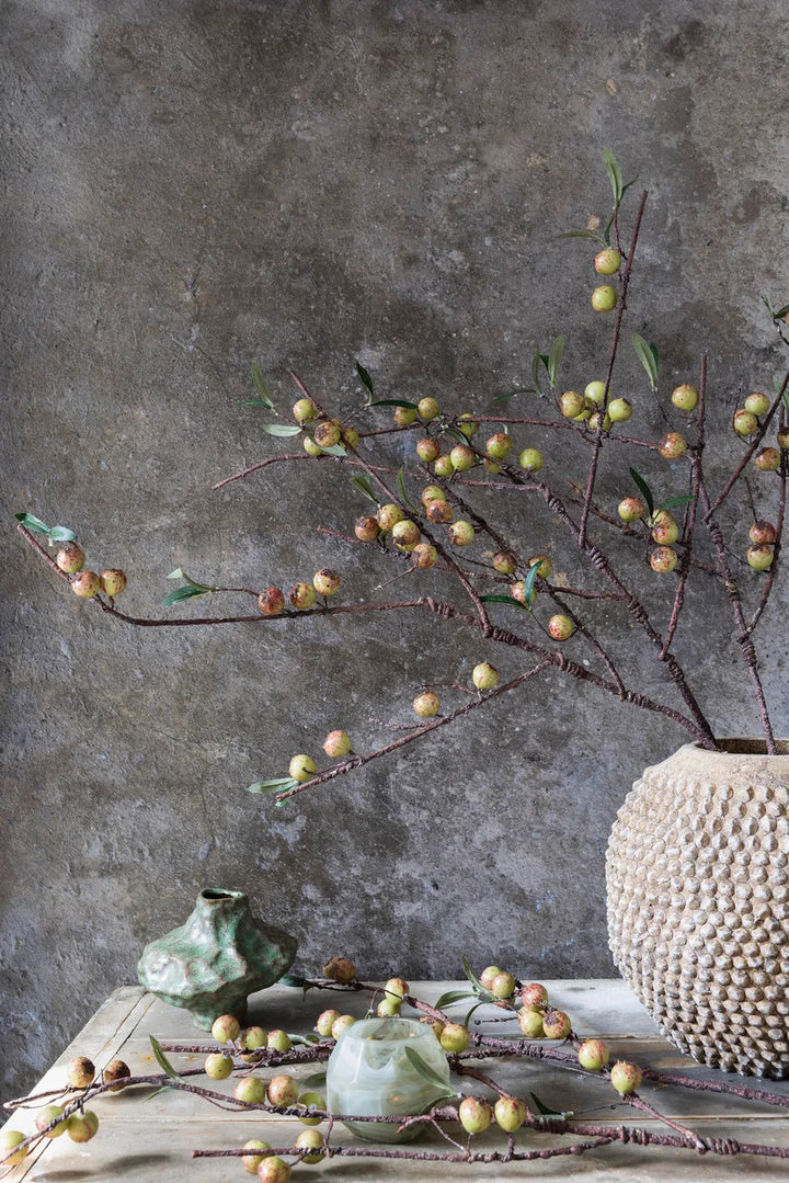 Dappled Rosehip Stem