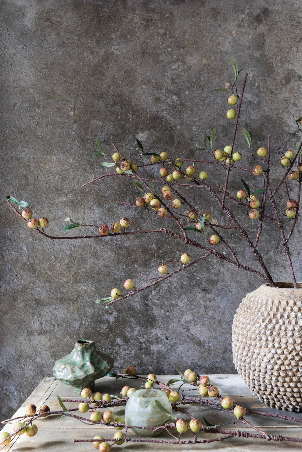 Dappled Rosehip Stem