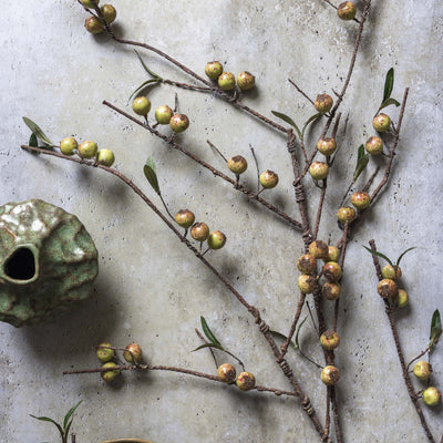 Dappled Rosehip Stem
