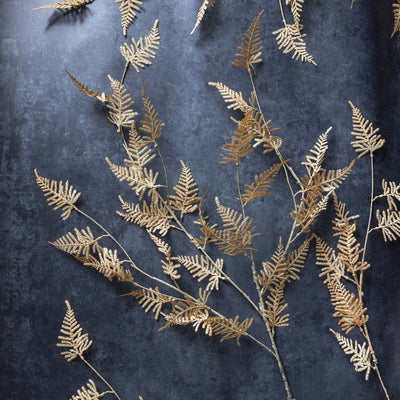 Woodland Fern