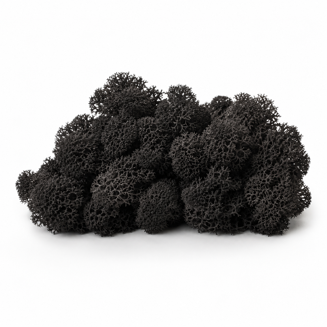 Black Reindeer Moss