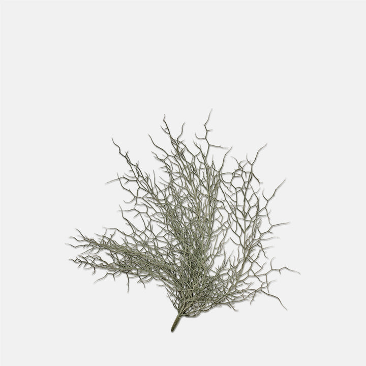 Grassy Bush