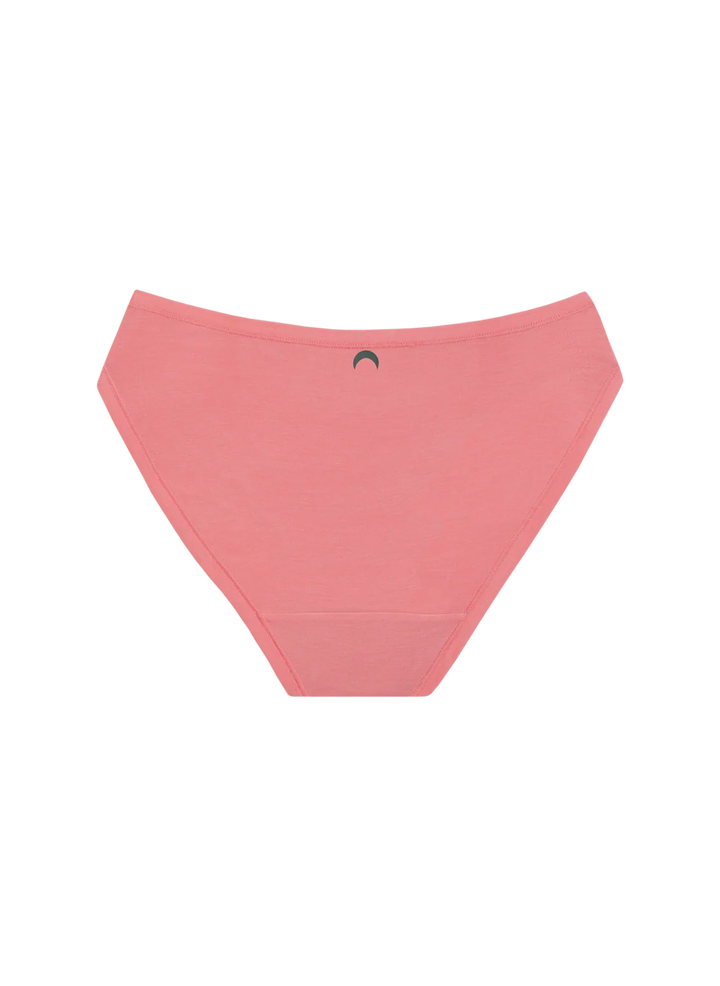 Huha Bikini Undies - desert rose