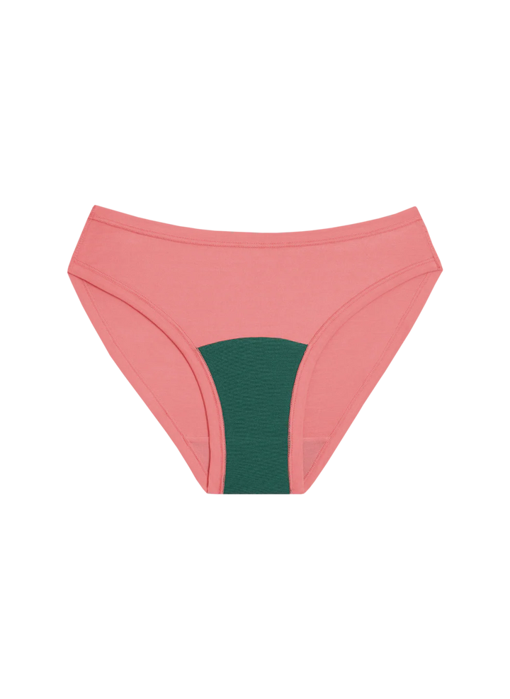Huha Bikini Undies - desert rose